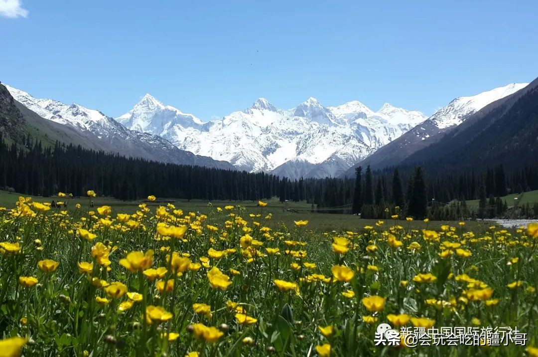 新疆南疆最有必要去的旅游胜地,新疆唯一没有戈壁的县
