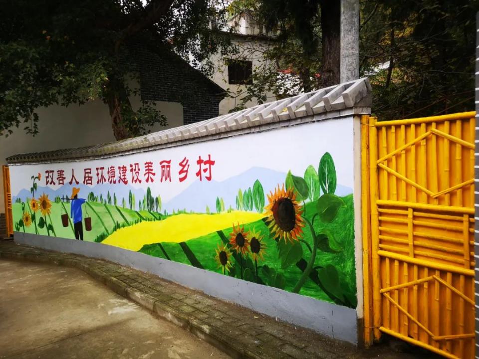 丹凤推进乡村振兴示范村建设,丹凤县美丽乡村建设