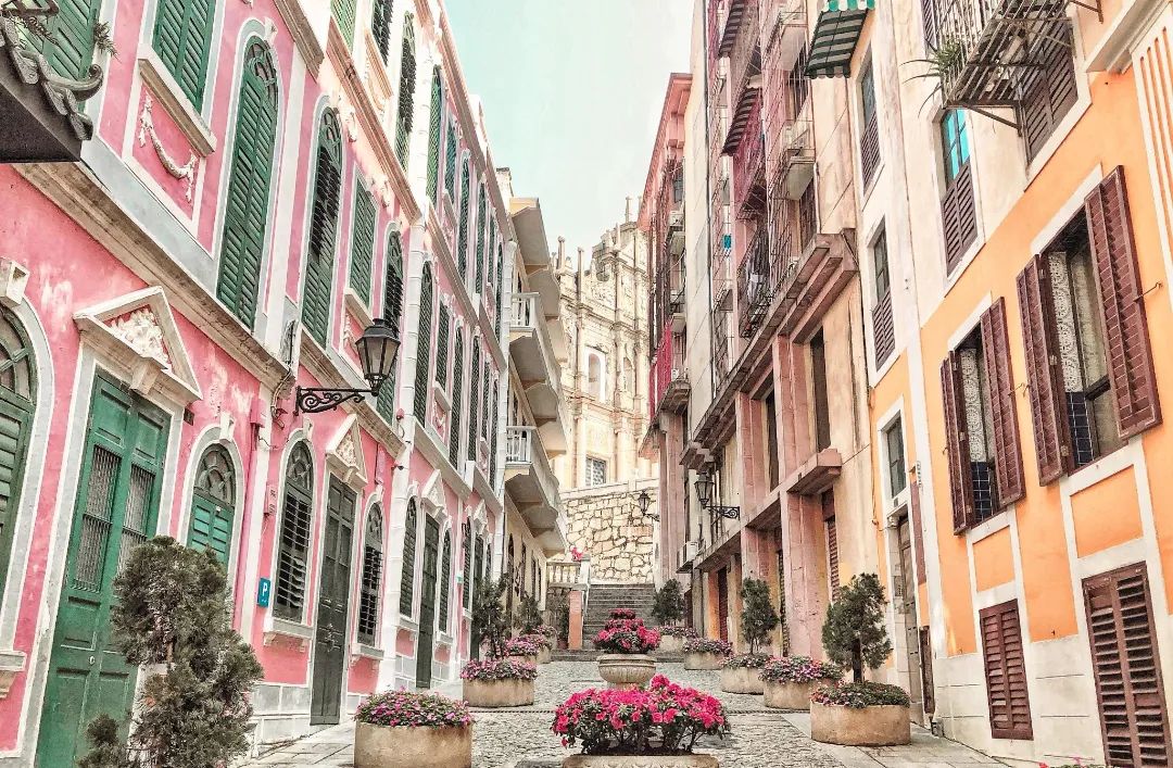 官宣！全面恢复！数十万张机票免费送，这样领！