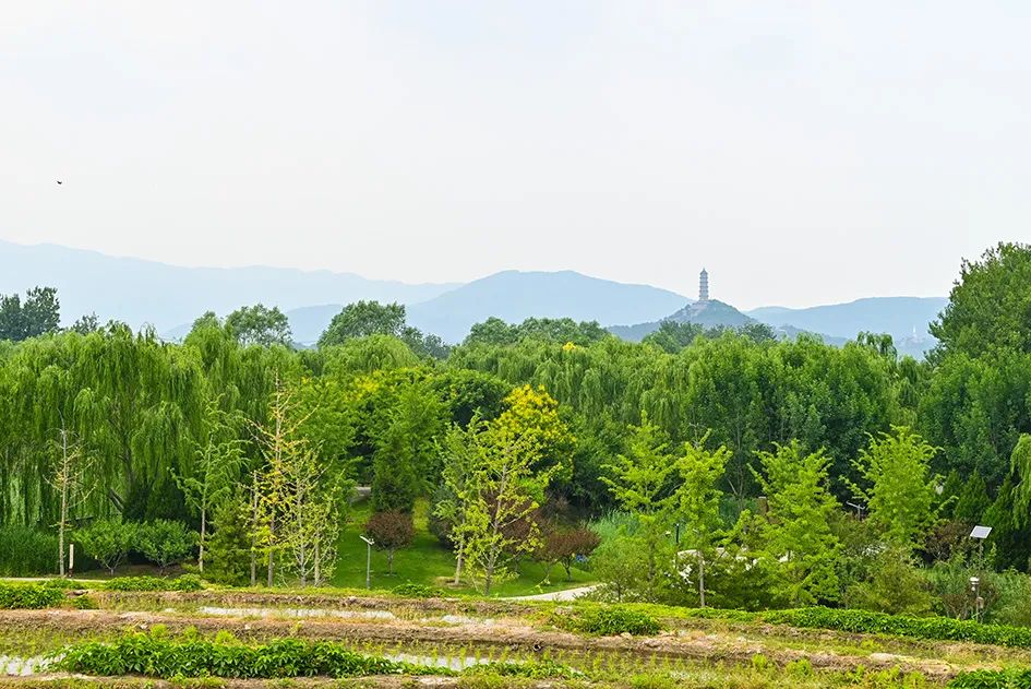 北京免费景美公园大全,北京这个公园也很美