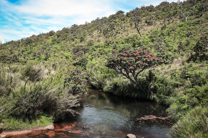 斯里兰卡旅游攻略必去景点,斯里兰卡旅游攻略最佳时间