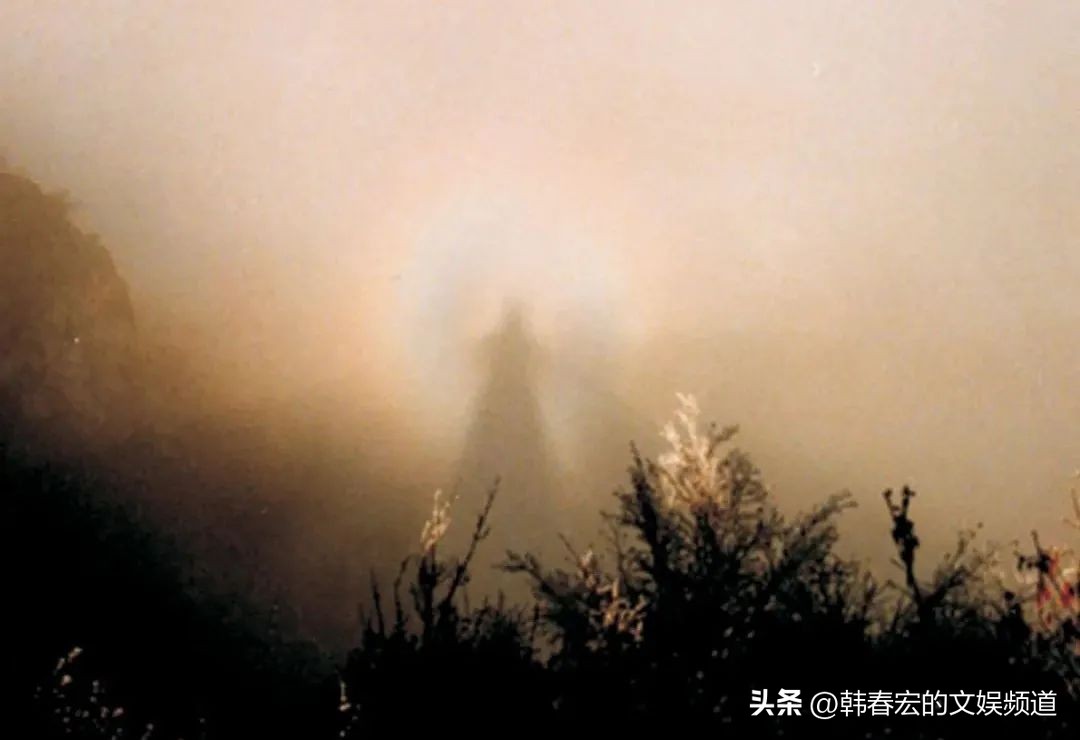 云赏美景,王莽岭美景