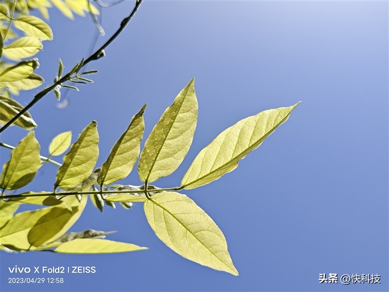 全能轻薄和强劲性能,vivoxfold2为什么叫全能旗舰