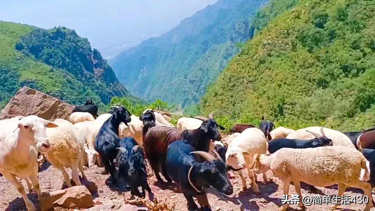 徒步穿越南太行山经典路线,夏季徒步太行山攻略