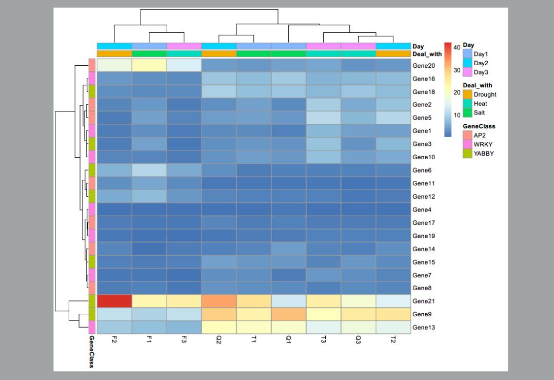 绘制热图的数据,热图用什么绘制
