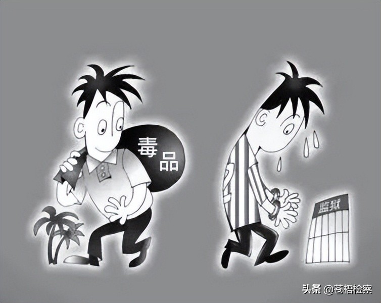 苍检普法||为讨女友欢心，男子代购*品毒**获刑