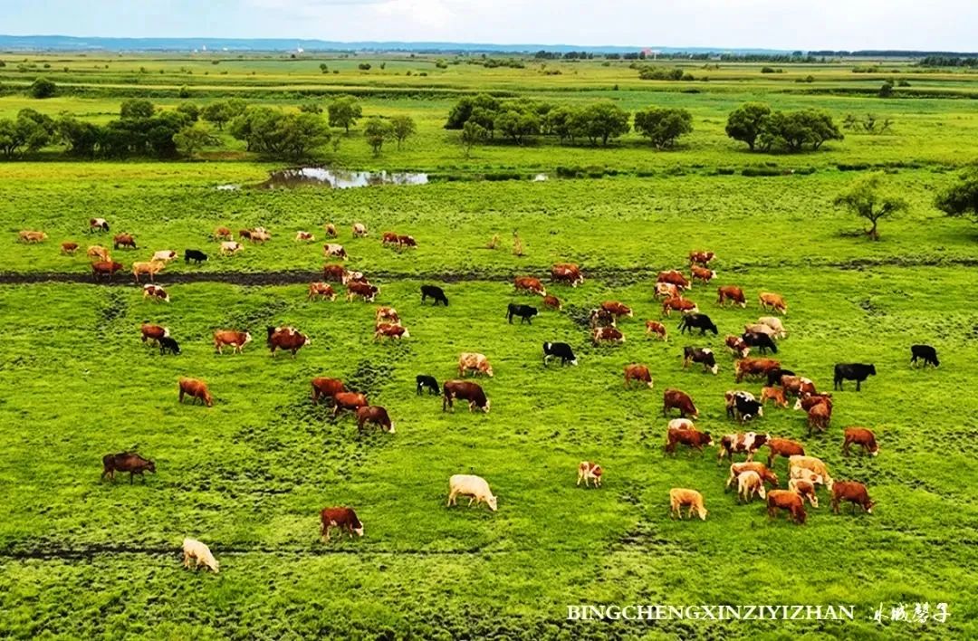 中俄边境线上的小城：逊克，披着“红珠绿边银装”的生态边城