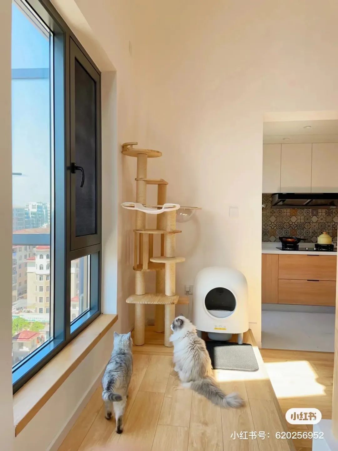 209m²只做两室?95后小夫妻说:这种浪漫,北上广的老破小给不了