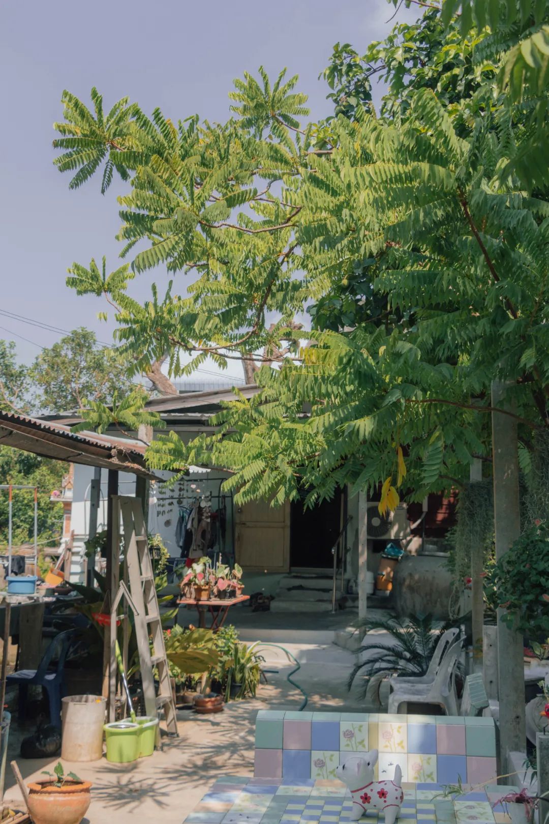 大数据推给想去泰国的朋友，万字长文玩转曼谷芭提雅