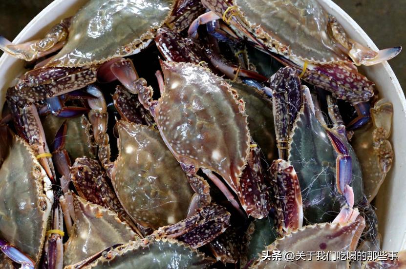 买回来的螃蟹怎样保存会肥,保存螃蟹放水盆里
