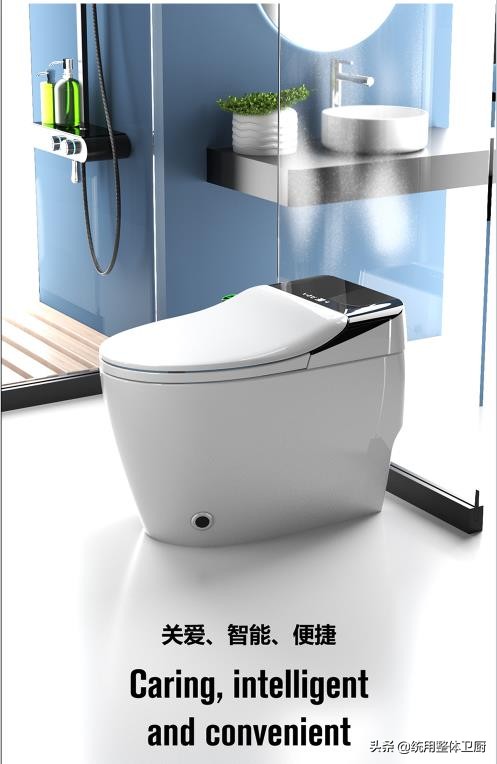 买智能马桶误区,选马桶的误区