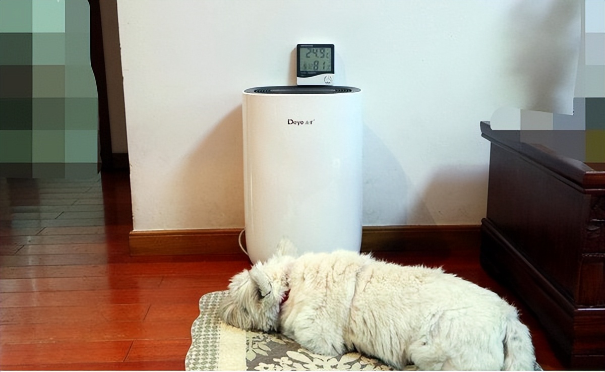 潮湿的回南天注意事项,回南天几时结束防潮指南快收好