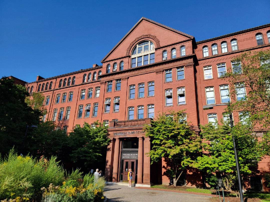 美国博物馆教育纳入国民教育体系,美国自然历史博物馆的由来