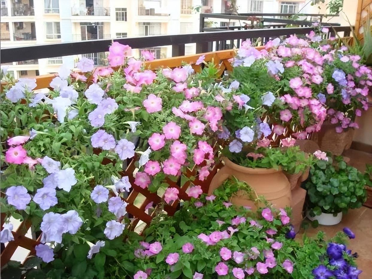 露天小阳台打造小花园效果图,卧室开放式小阳台怎么打造花园