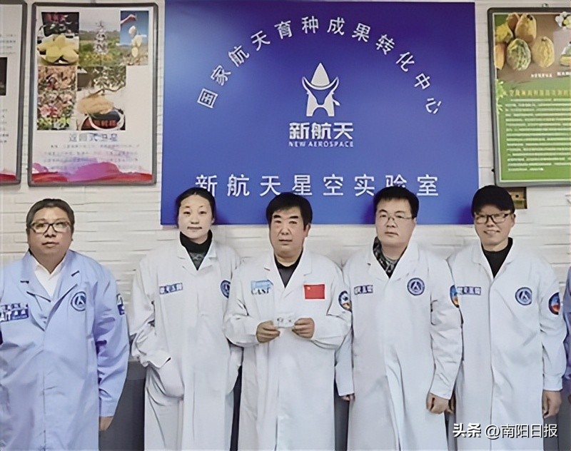 河南南阳艾草品牌,南阳绿莹艾草制品加盟