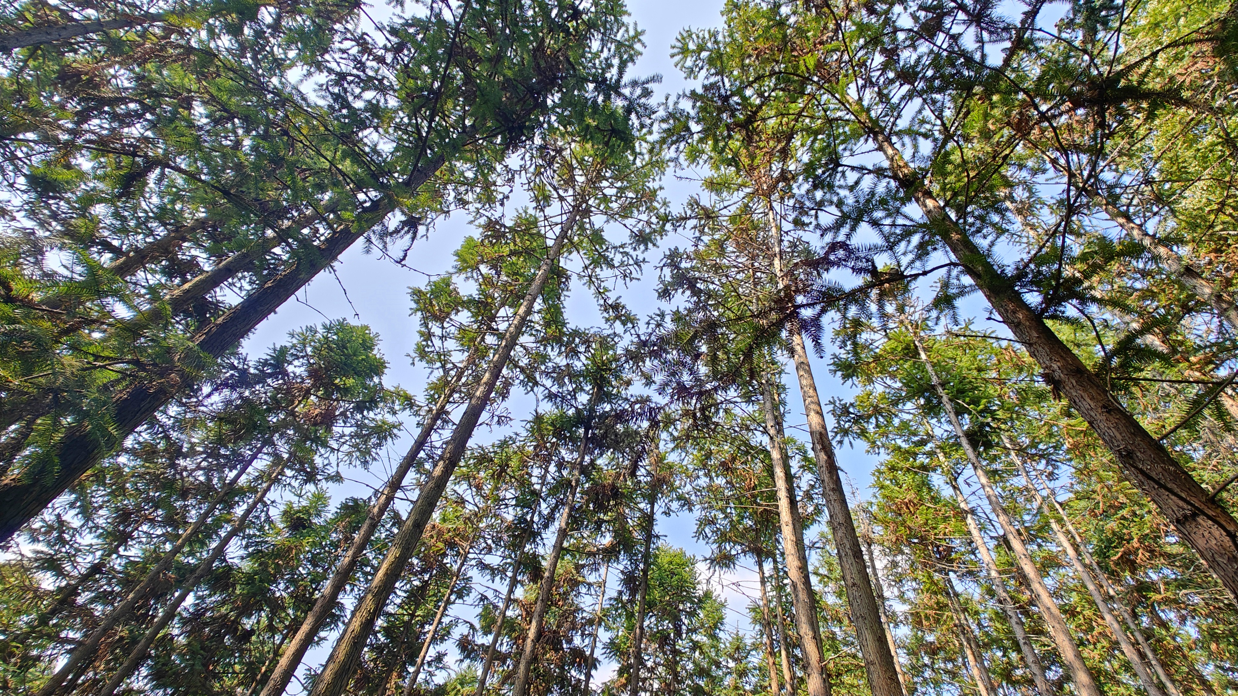徒步三叠井森林公园，拥抱采兰溪，走进大自然