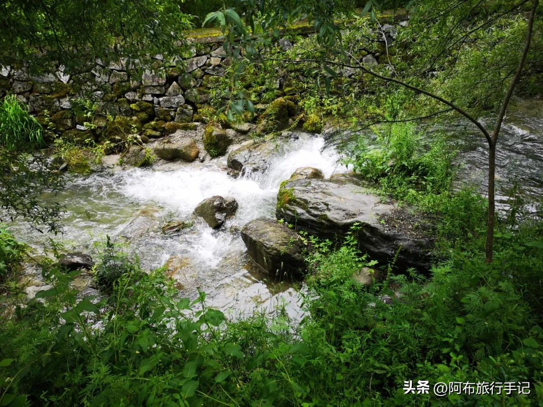 还没来得及去日本，却在秦岭来了趟值回东京票价的旅行