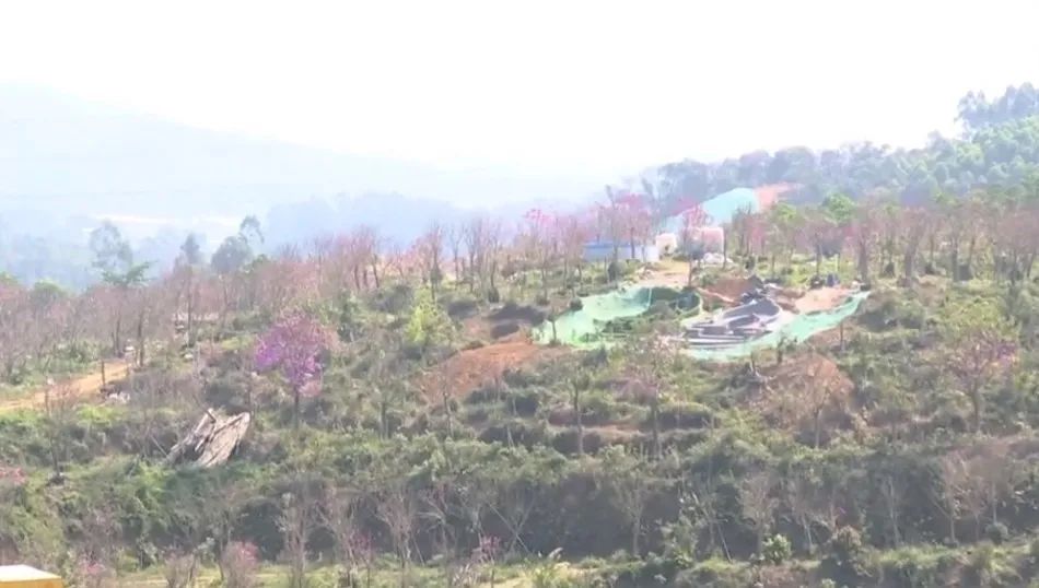 山景房变坟景房可以退房吗,湖景房竟变墓景房