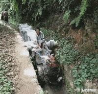 麻麻说了,谁要是娶了我,后面的苞米都是你的,哈哈哈