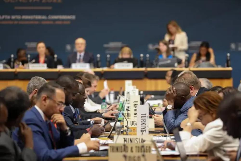 国际贸易环境及趋势,国际贸易与环境