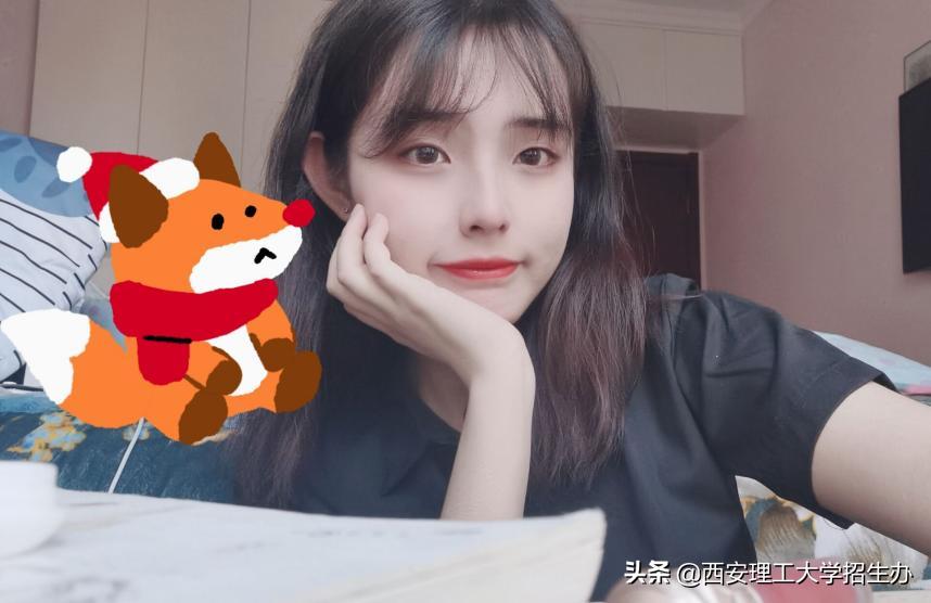 陕西省一流应用型本科院校,陕西理工大学国家级一流本科专业