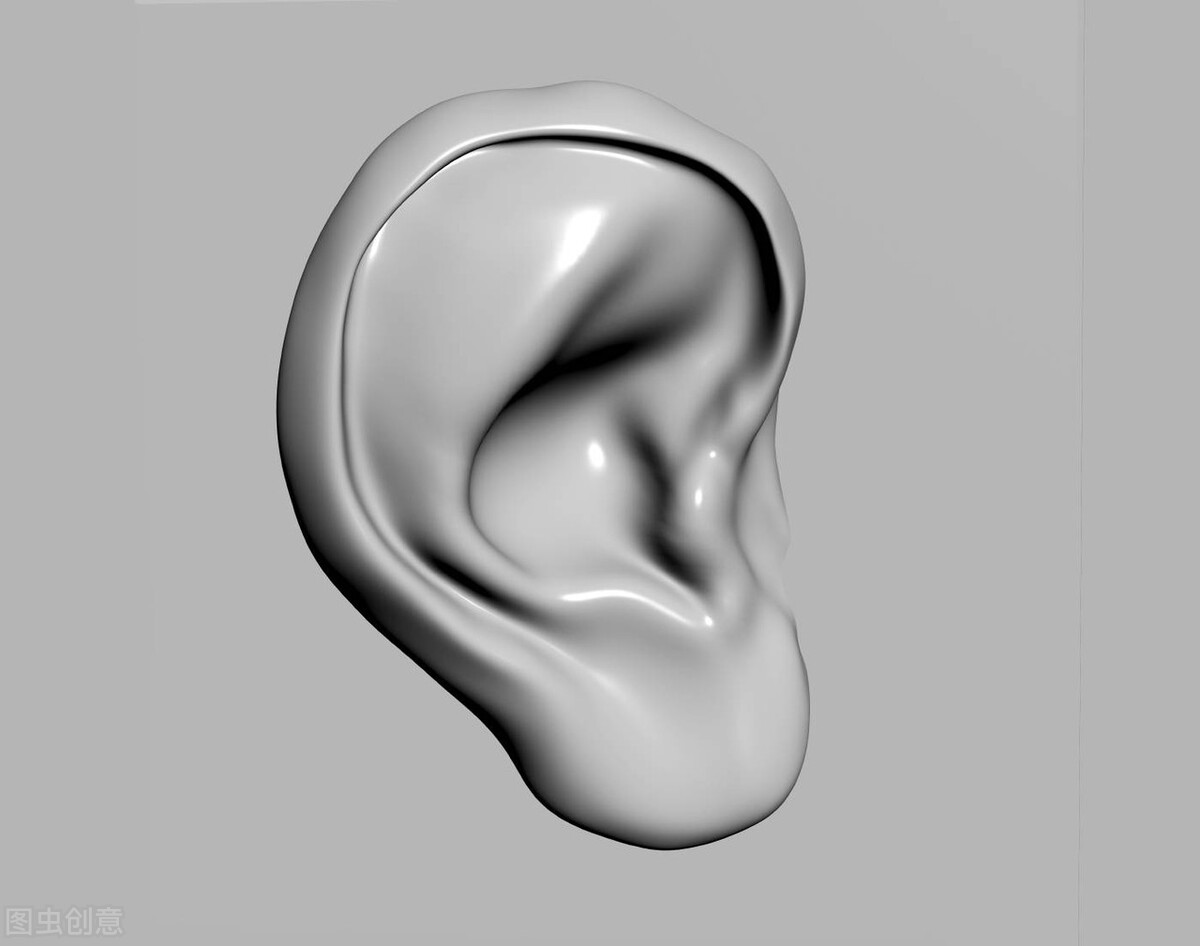 益气聪明汤治各种耳鸣特效汤处方,耳鸣耳聋眼花送你8味中药