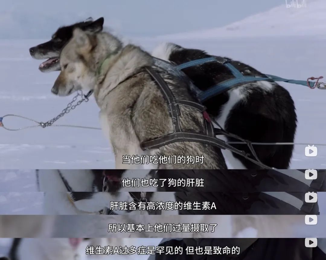 阳了补充维生素c有用吗,各种维生素该不该补