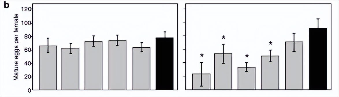 噬菌体侵染大肠杆菌实验细节,肉鸡用噬菌体
