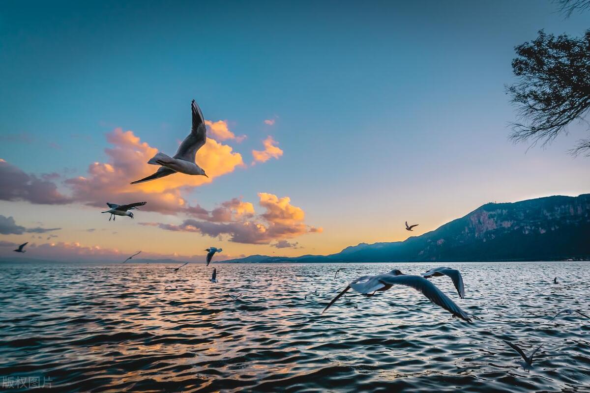 准备去云南玩7天行程怎么安排,5天去云南旅游攻略路线推荐一下