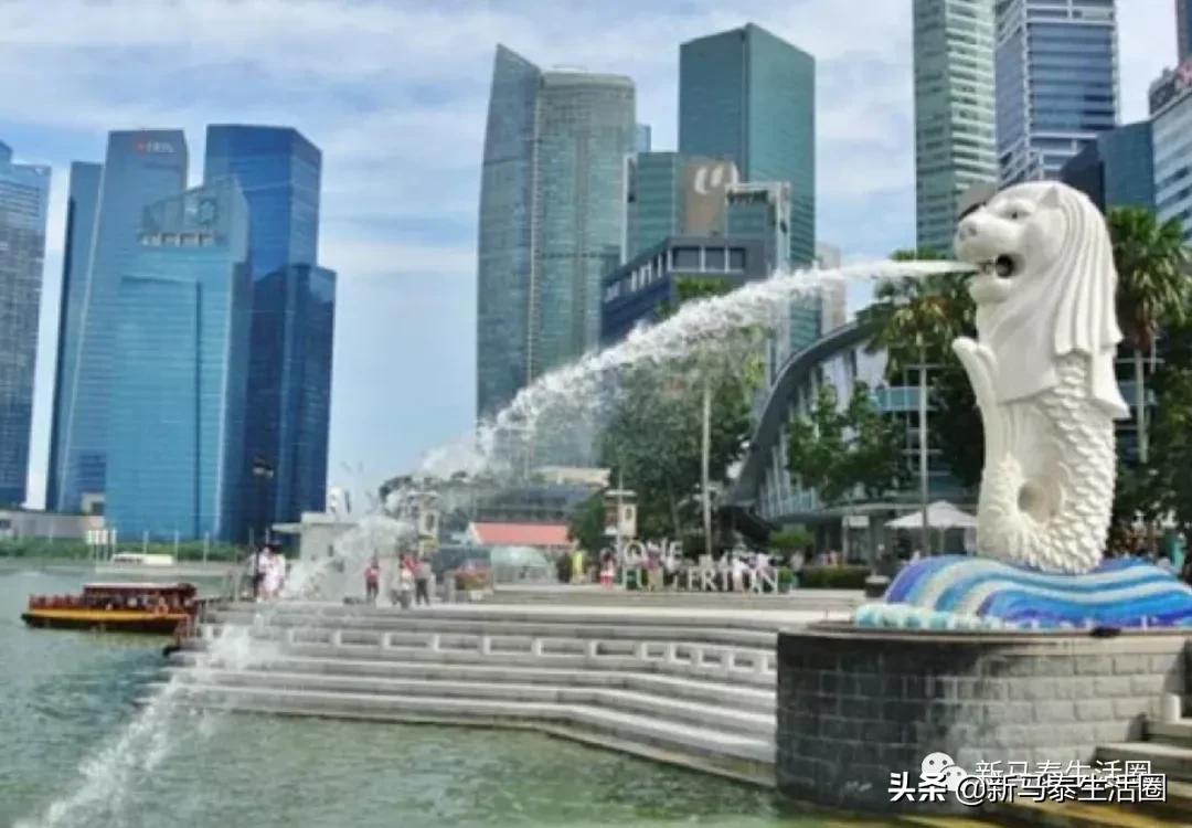 新加坡增882确诊!女商人代3名中国富商买洋房被判坐牢