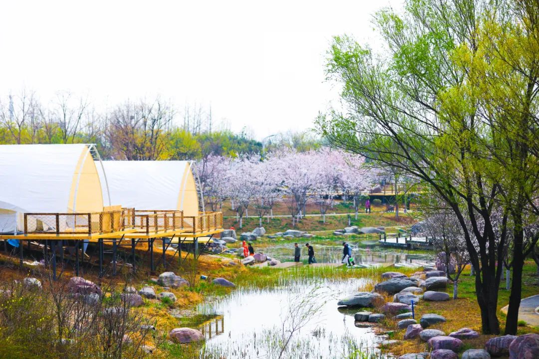 新生活方式新需求,新消费生活