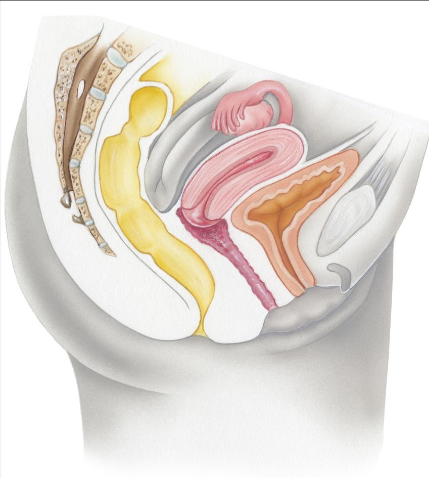 派特灵科普|子宫内膜异位症腔镜诊治术后长期管理专家建议