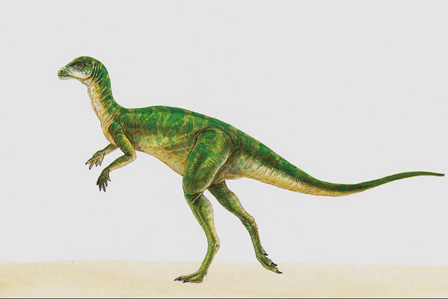 6500万年前恐龙灭绝是谁的错,恐龙如果不灭绝会进化成什么样