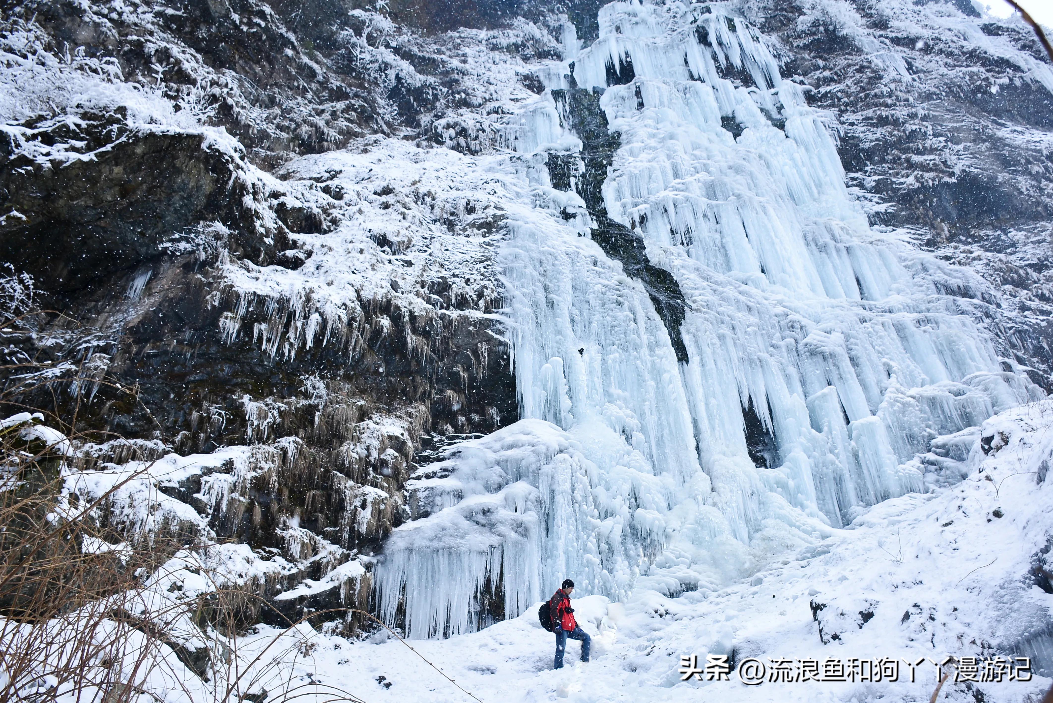 四月份成都近郊一日游好去处,2022成都近郊看雪一日游最佳去处