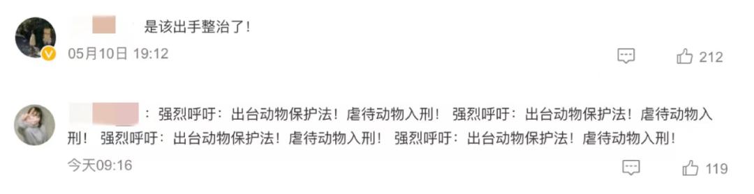 “爱猫群”的伪装被撕开,QQ宣布封停上百个账号…网友:该出手整治了!