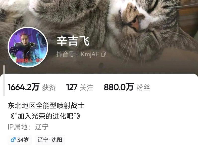 辛吉飞带货视频 (辛吉飞带货视频打什么标签)