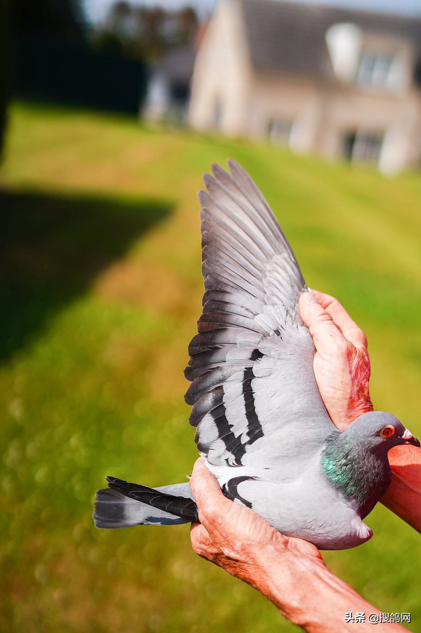 巴塞罗那是世界冠军吗,巴塞罗那6连冠都是哪六冠