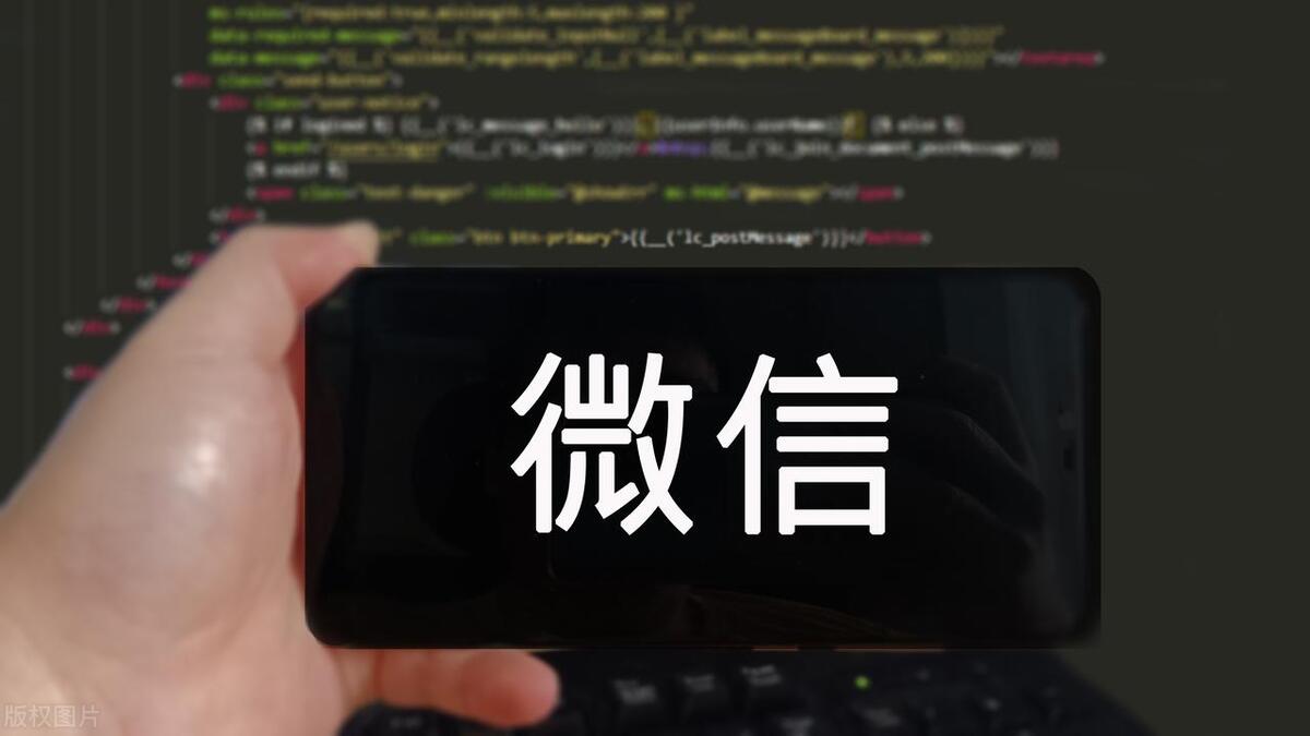 商标法第四条规定分析,商标法典型案例及分析