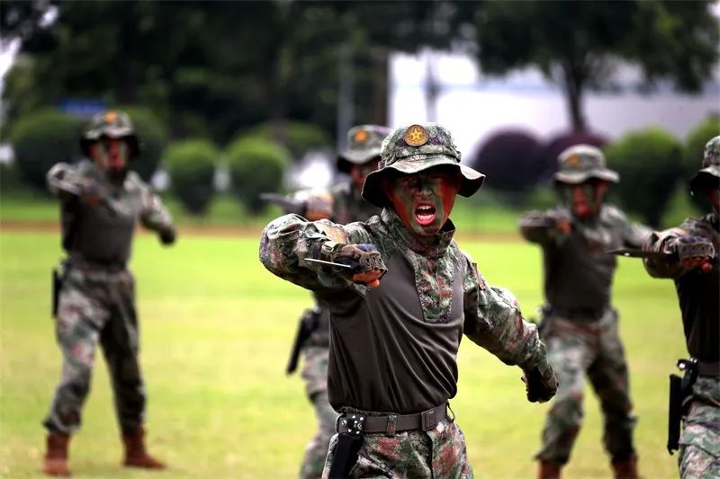 一组镜头，看看夏日军营的别样青春