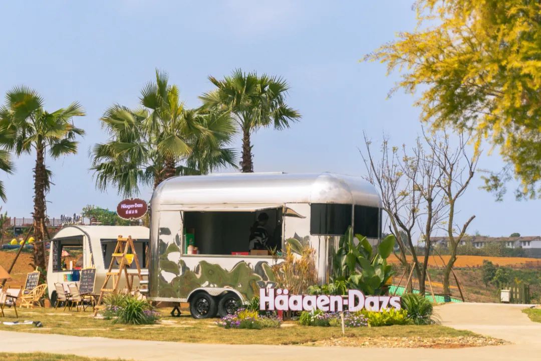 踏青露营地推荐,空港花田古朴森林露营地