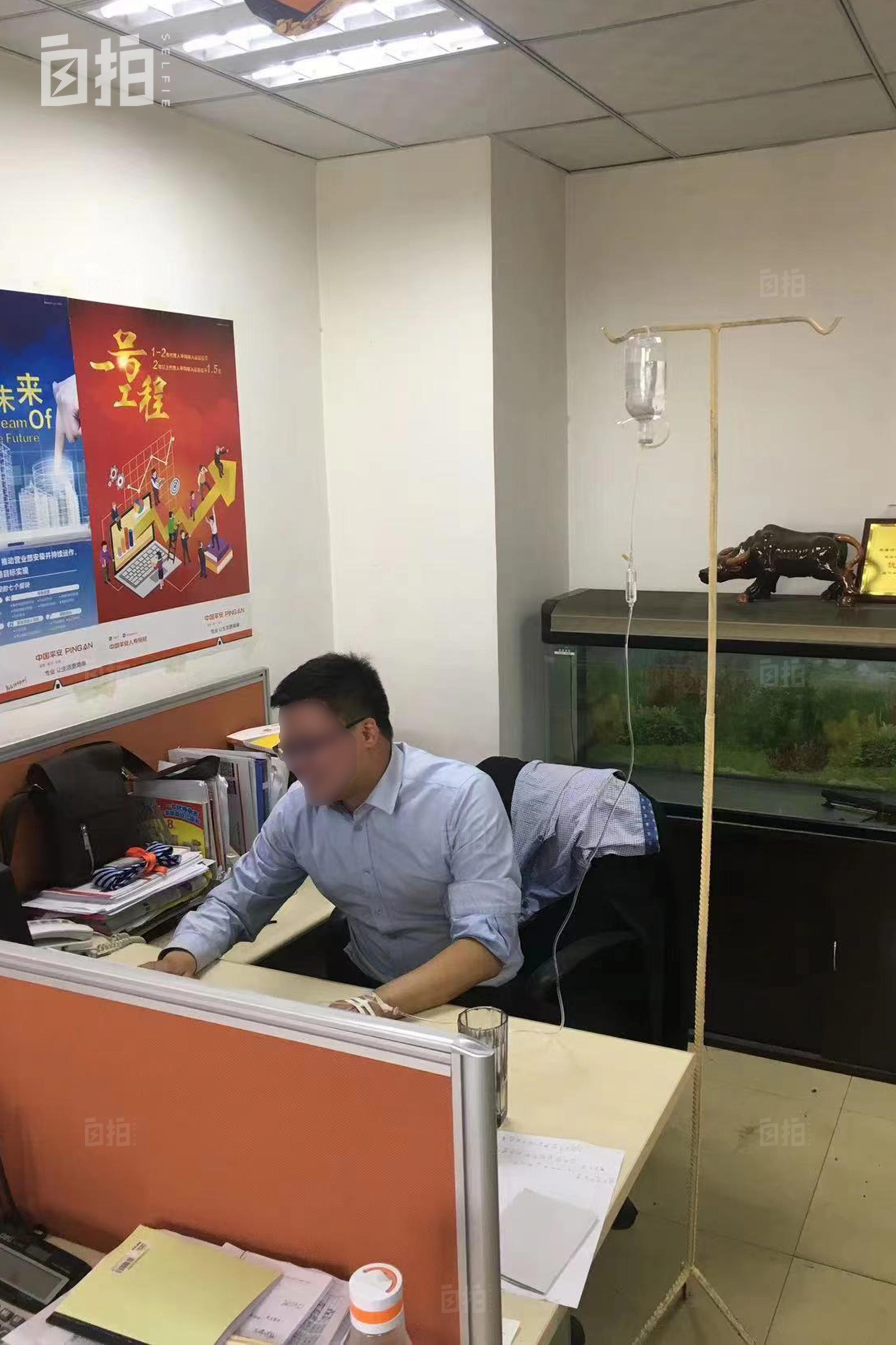 在老家上班像坐牢，我辞职出国打零工、猎狐狸，靠体力活养活自己