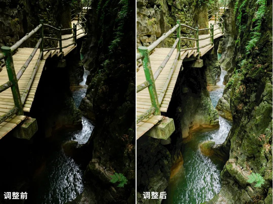 富士x-s20高感测评,富士x-s20几画幅