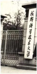 大学芳华,大学芳华苑