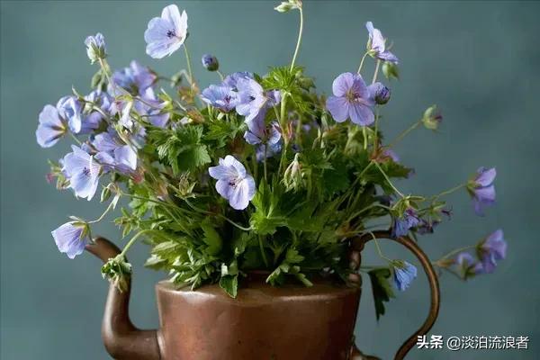 得闲去散散步,散步去云南