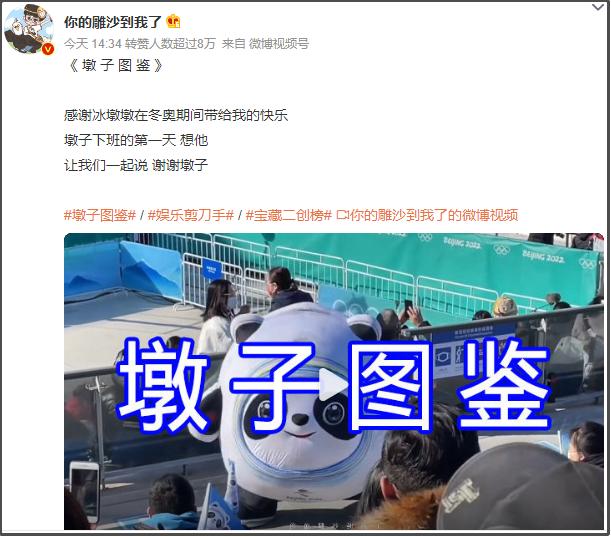 冰墩墩变身,冰墩墩变身冰墩墩