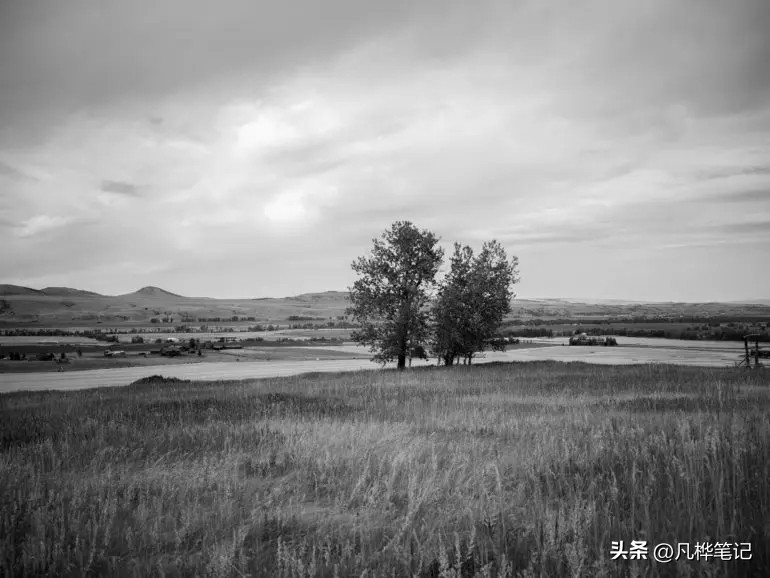 哈苏x2d100c视频,哈苏x2d100c与50c区别