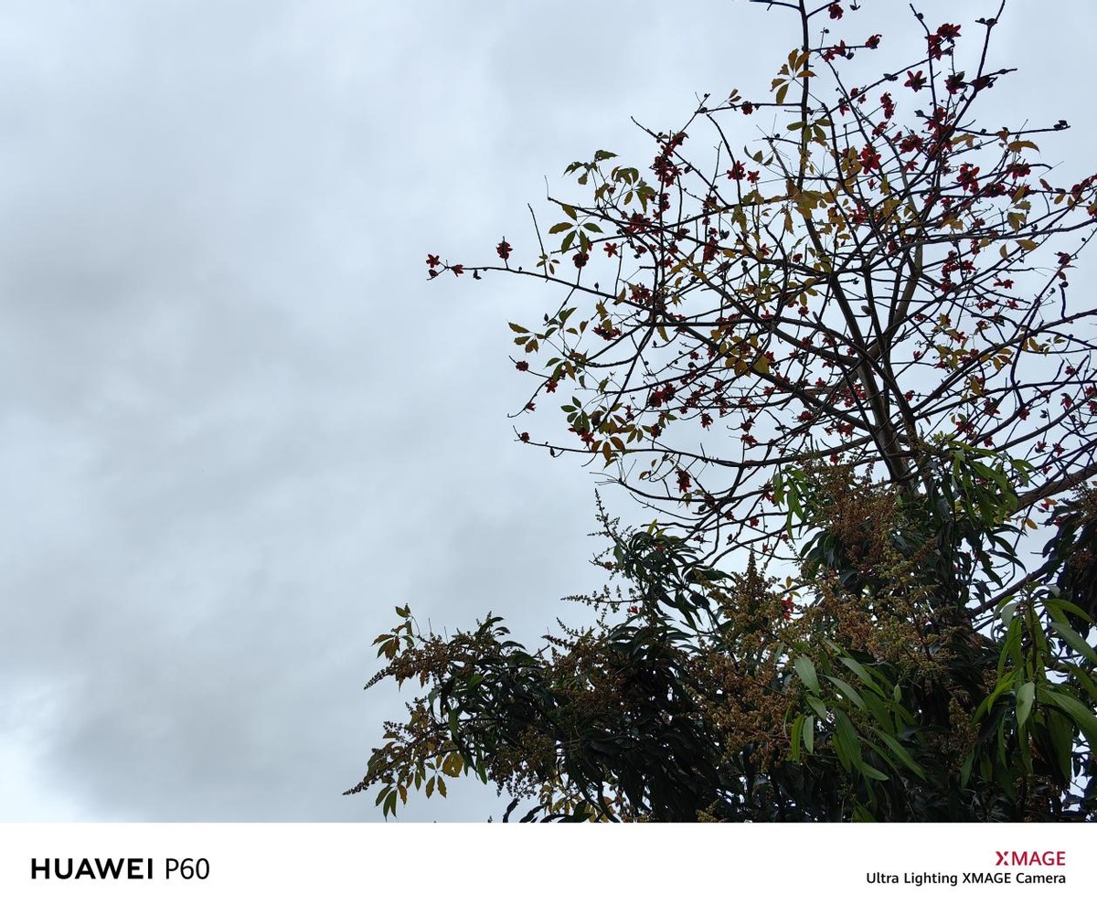 没有徕卡的华为p60系列评测,最新发布华为p60系列值得入手吗