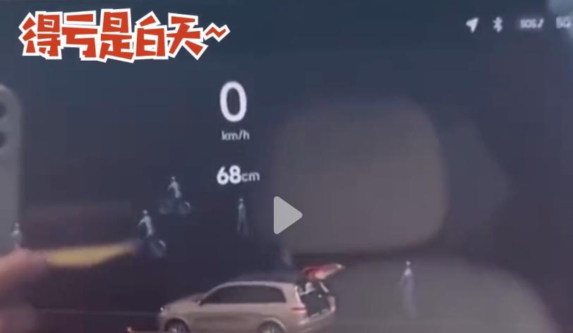 陵园真的有鬼吗,陵园内雷达显示人影真相