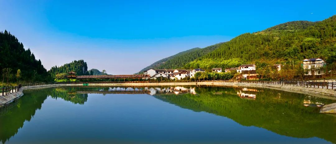 重庆乡村振兴示范村名单,重庆乡村一日游哪些地方好耍