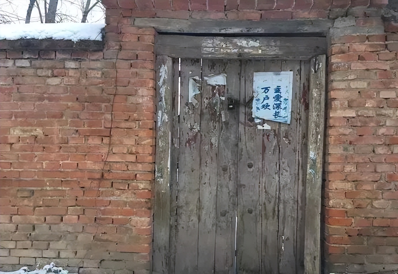 2010年河北行唐，儿子患病身长“巨型黑痣”，母亲为救子割皮移植